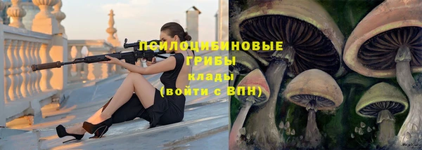 прущая мука Киренск